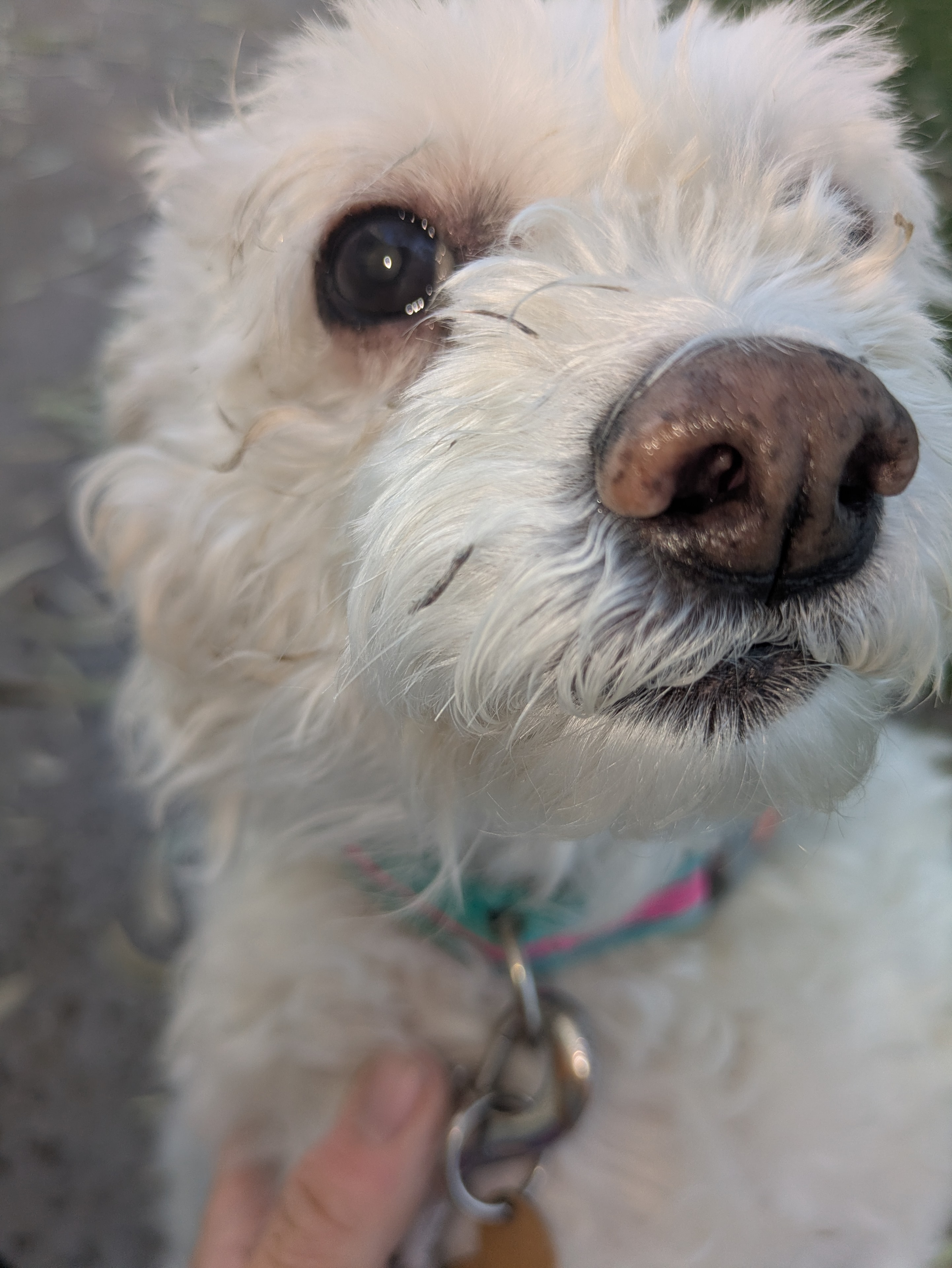 Masha close-up portrait