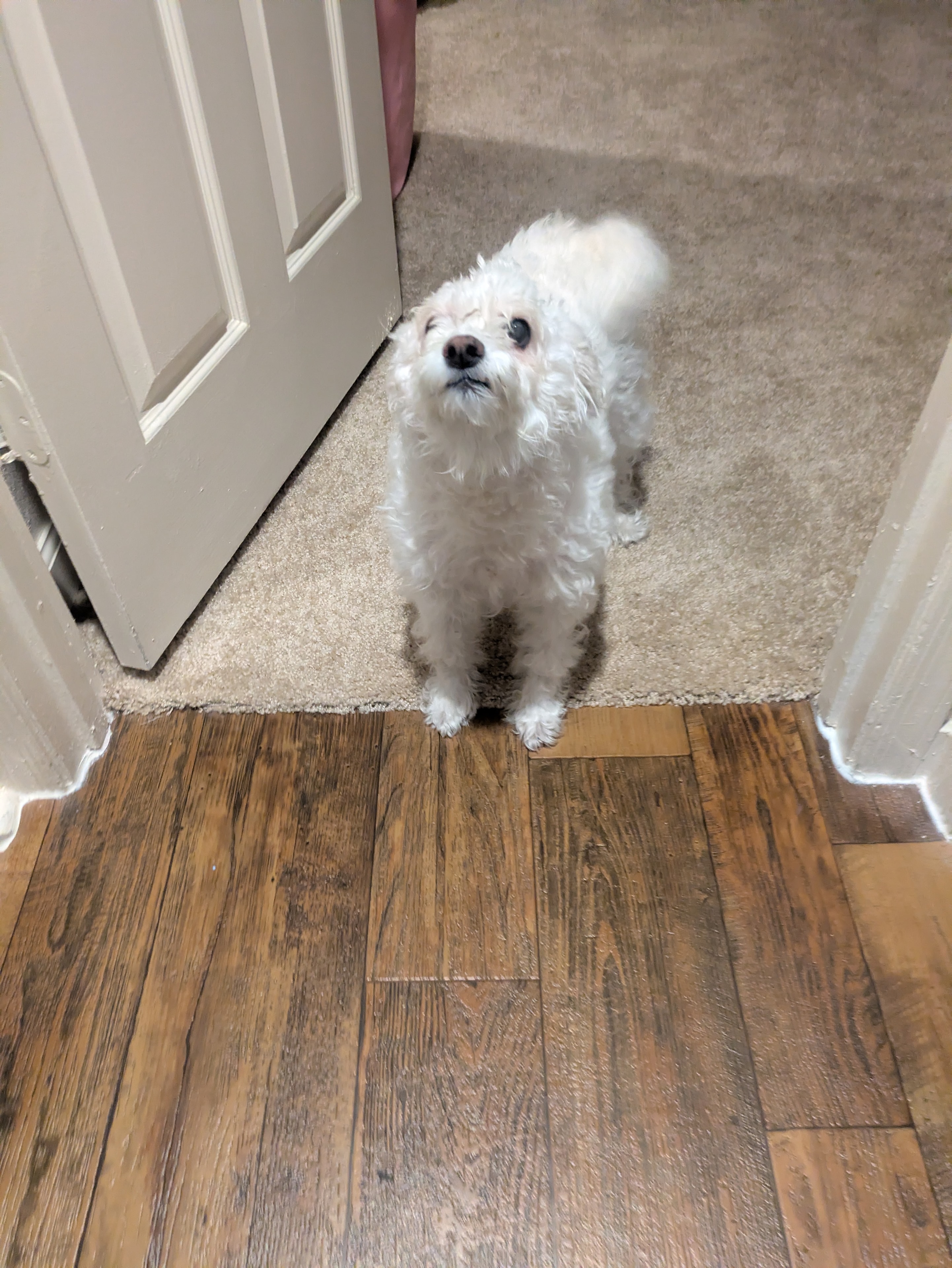 Masha standing at the doorway