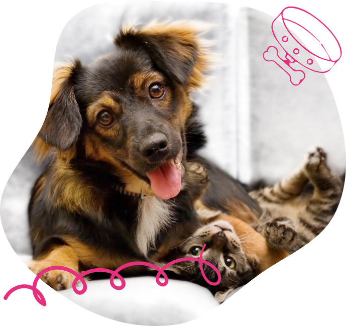 Alita Rae – puppy needing treatment